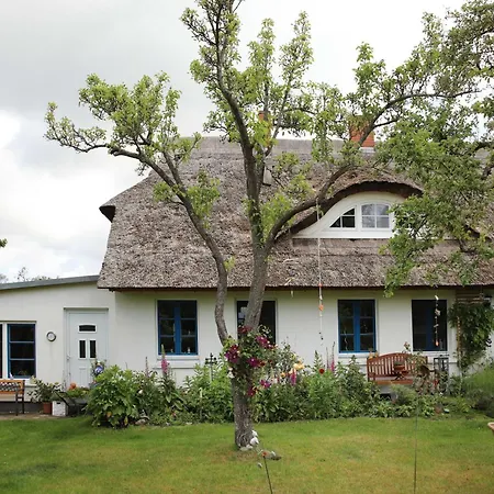 Im Historischen Daire *