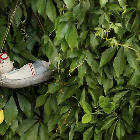 Im Historischen Daire